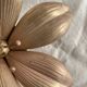 Brass flower, ashtray petals from the 60s-70s.