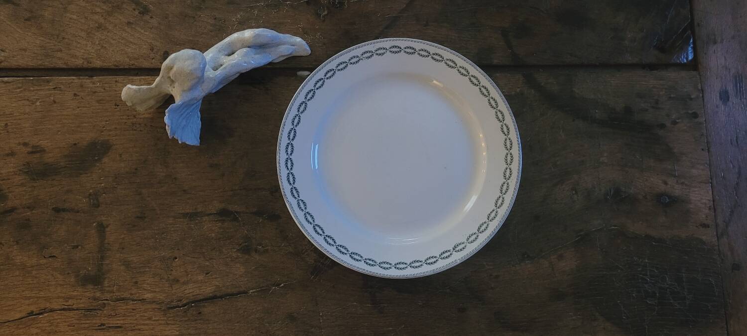 Sarreguemines iron earth plate