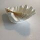 Holy Clam Shell - 23x14x7 cm - Natural - 1000g