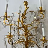 Pair of lamps in gilded bronze and crystal