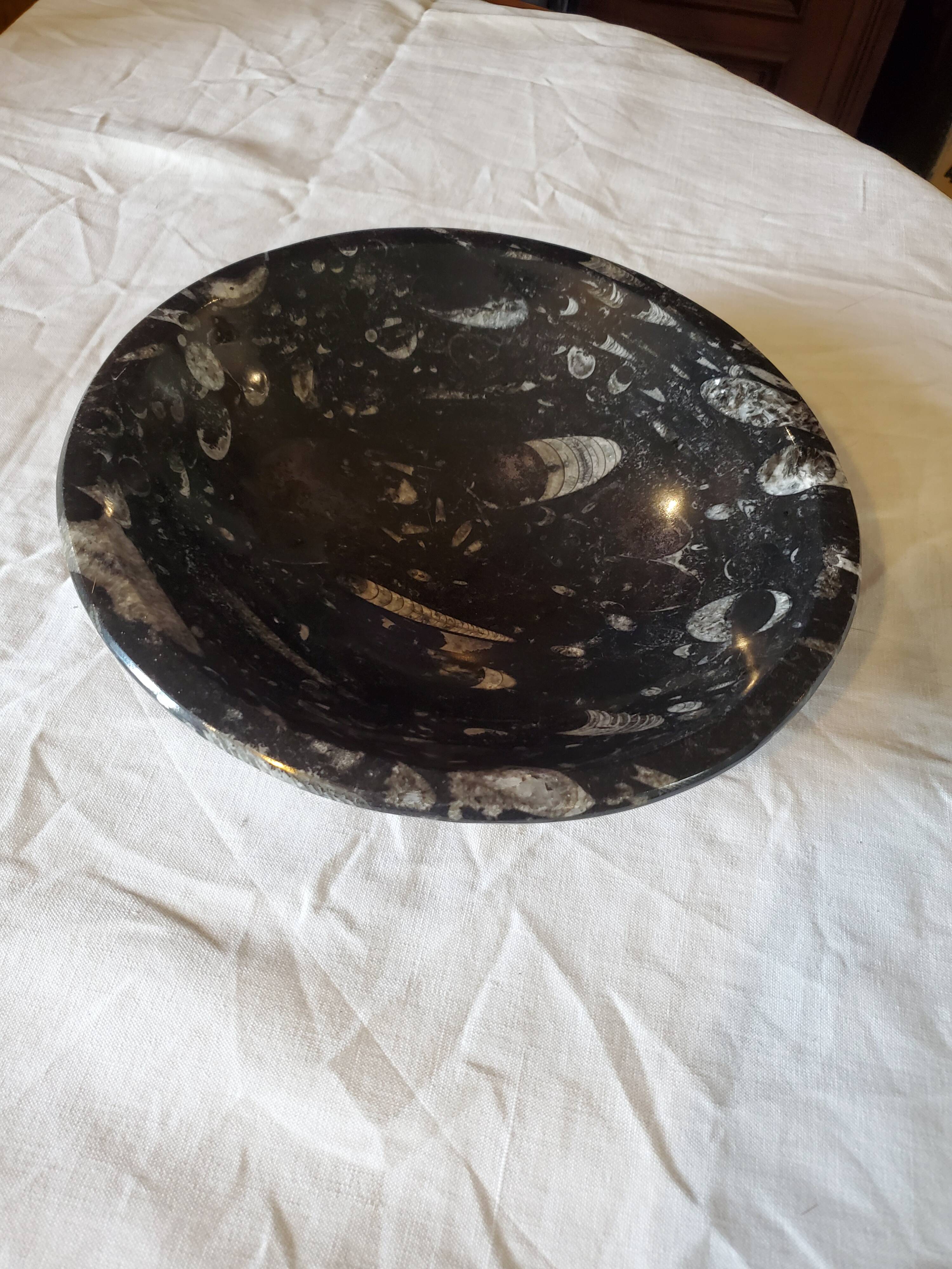 Fossilized marble cup