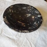 Fossilized marble cup