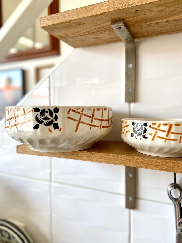 2 bowls in badonviller enamelled earthenware