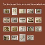 Lithographie ancienne - Plantes toxiques  - Gravure originale de 1909