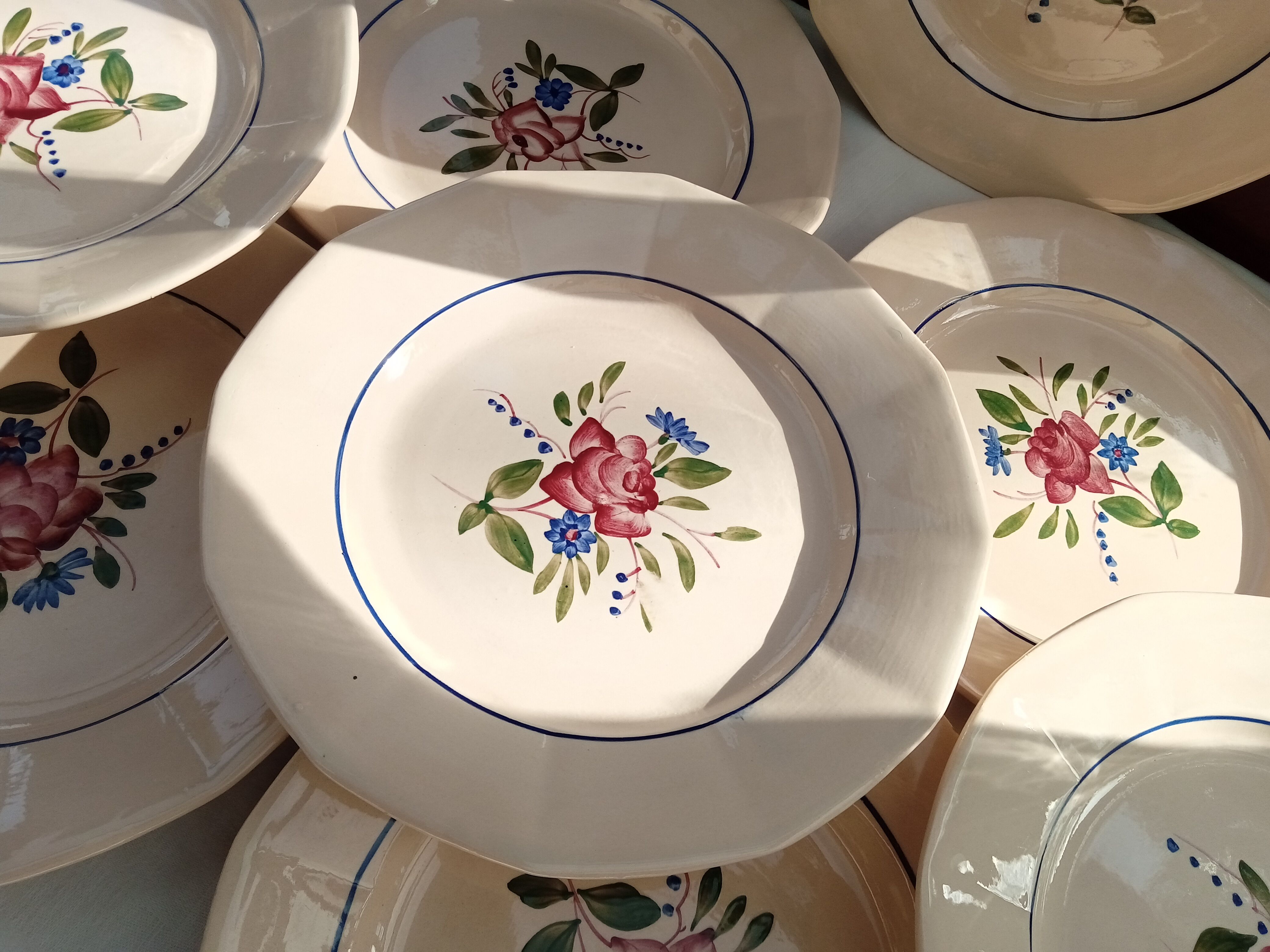 12 flat plates Digoin