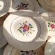12 flat plates Digoin