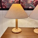Pair of Scandinavian design lamps from the 1960s.
