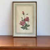 Flower frame