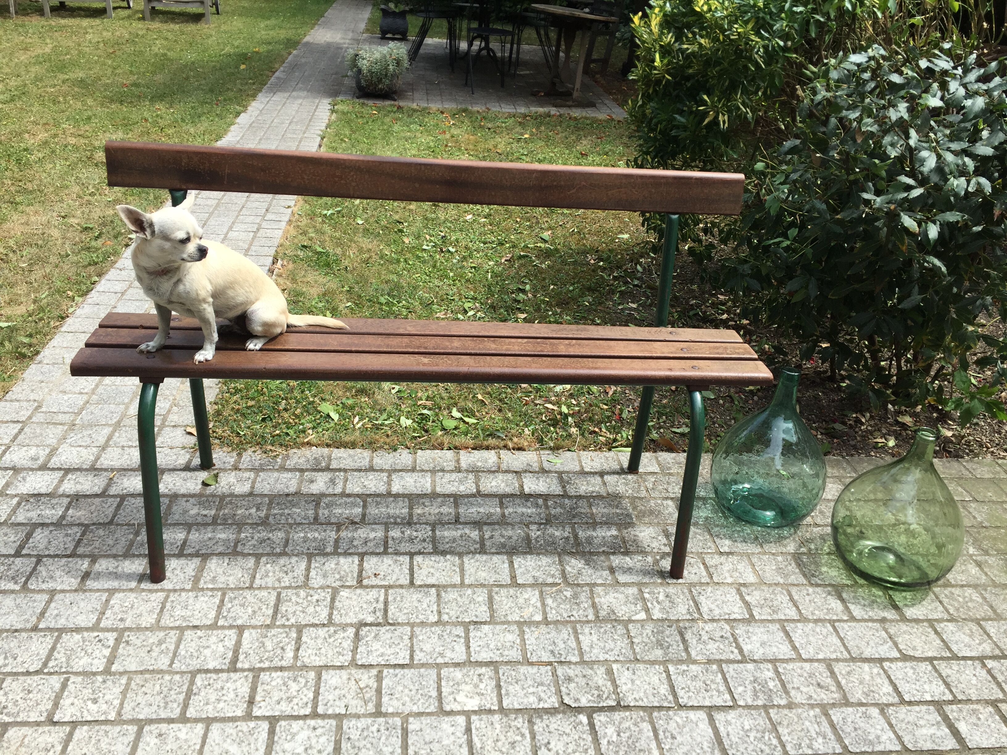 School bench with backrest