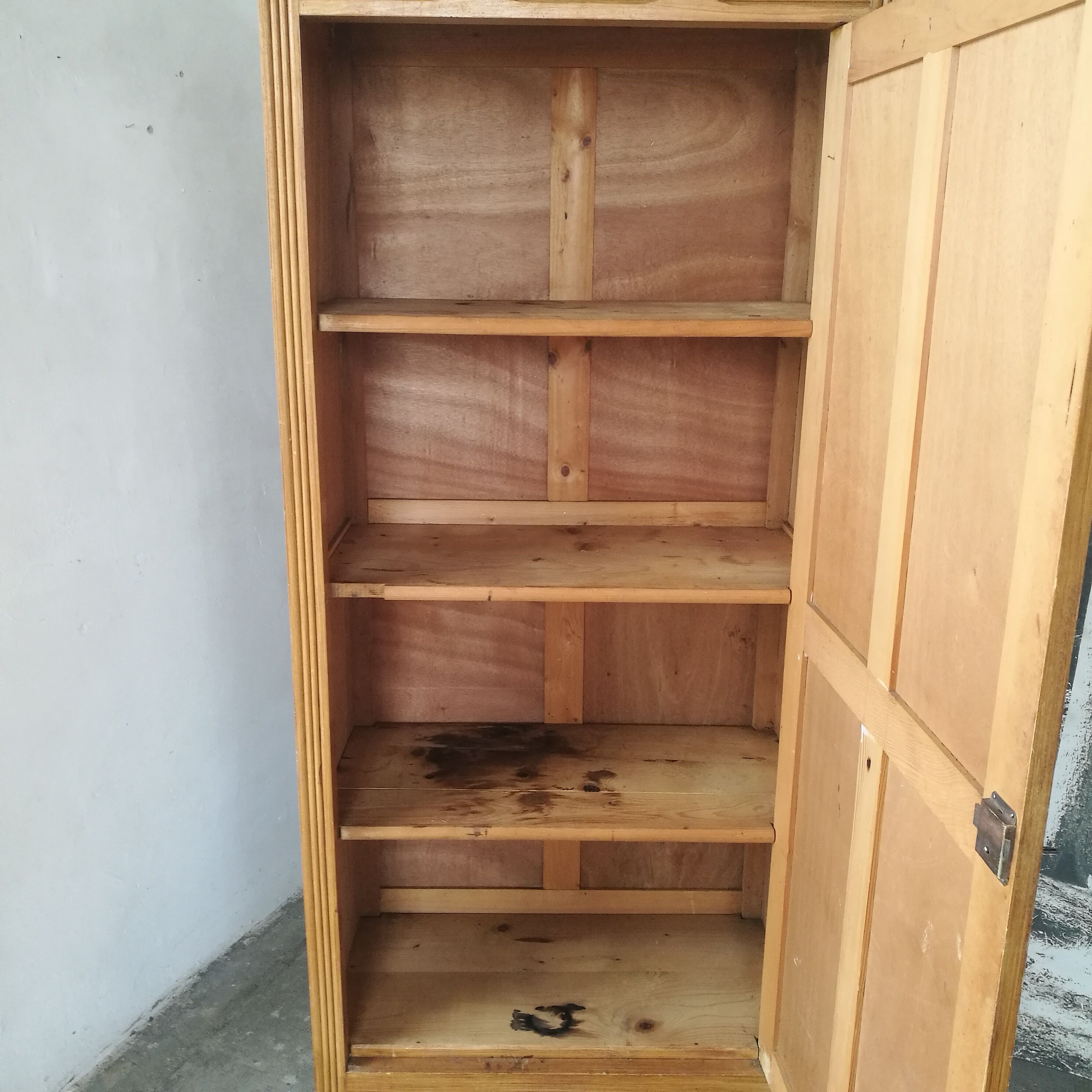 Fir tree hosier, Parisian wardrobe