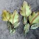 giant painted metal wall sconces Murano glass leaf 63cm