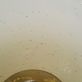 Coupe en verre bullé