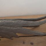 Couple of pheasant roosters