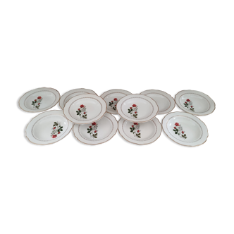 Set of 11 hollow plates Digoin Sarreguemines decoration red pinks and golden border