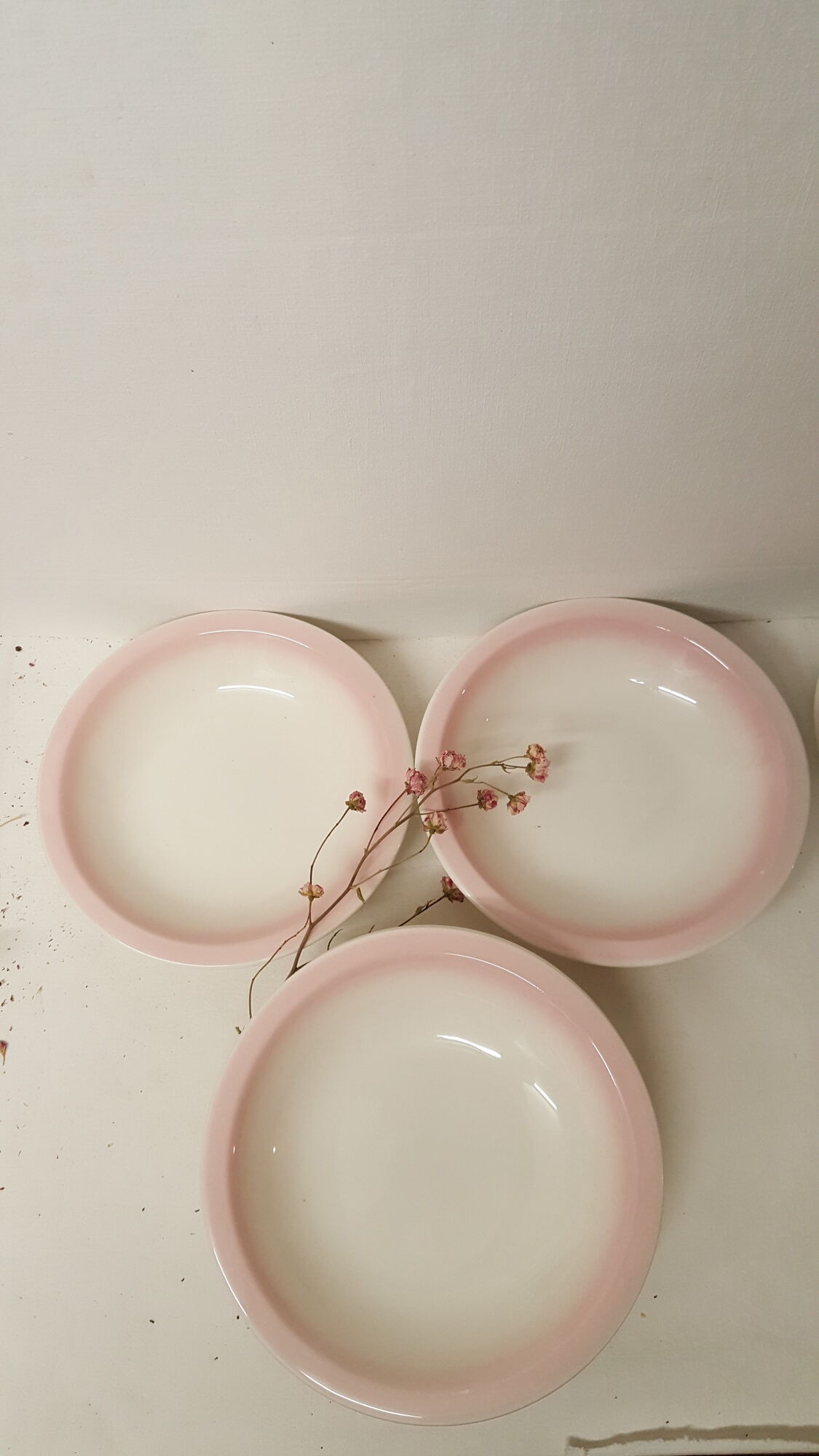 Set of 6 hollow plates, made in Italy, Ceramica CCC.
