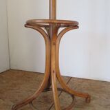 Fishel bistro parrot