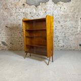 Vintage library