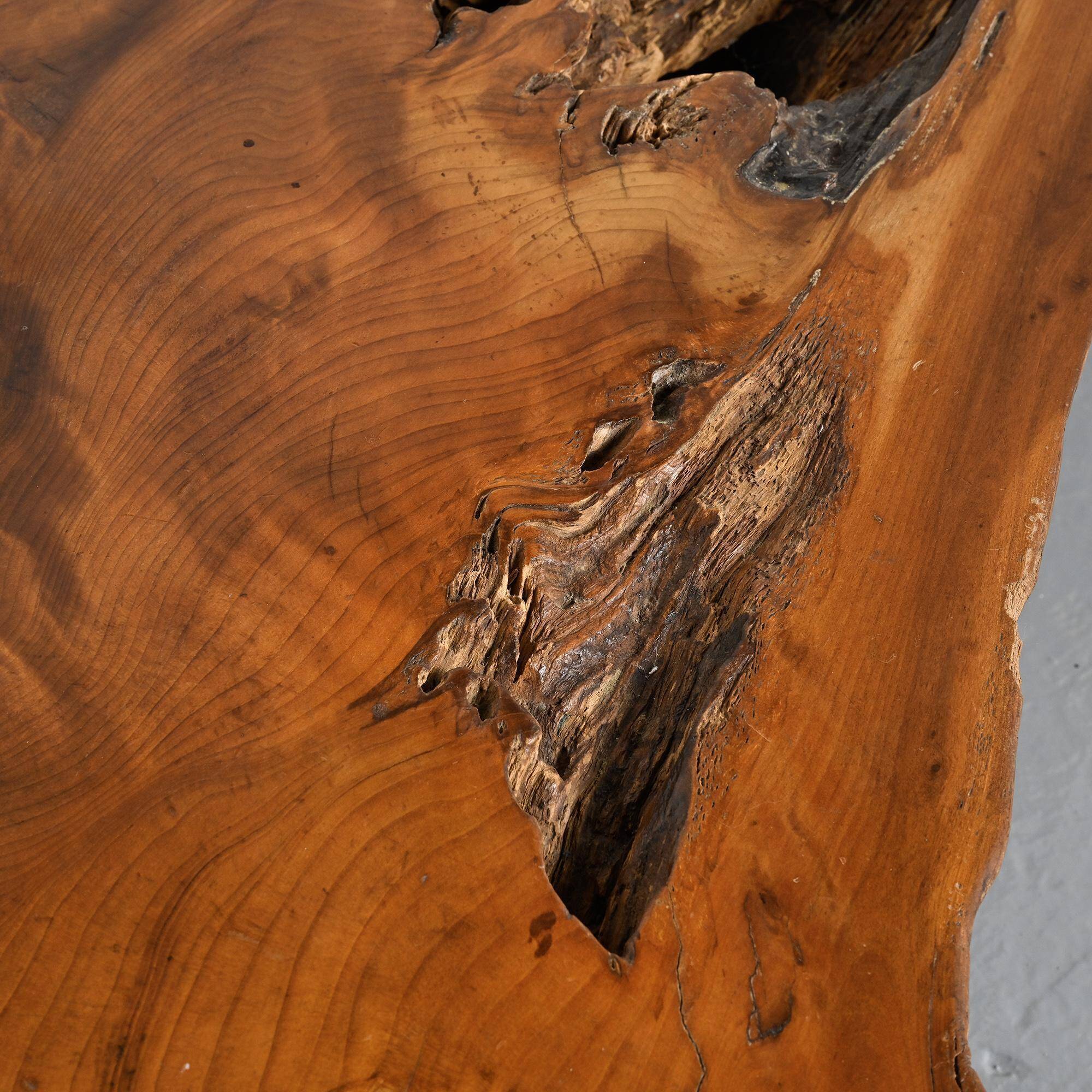 Coffee table made from sequoia root, American craftsmanship, Redwood Park, California, around 1970.