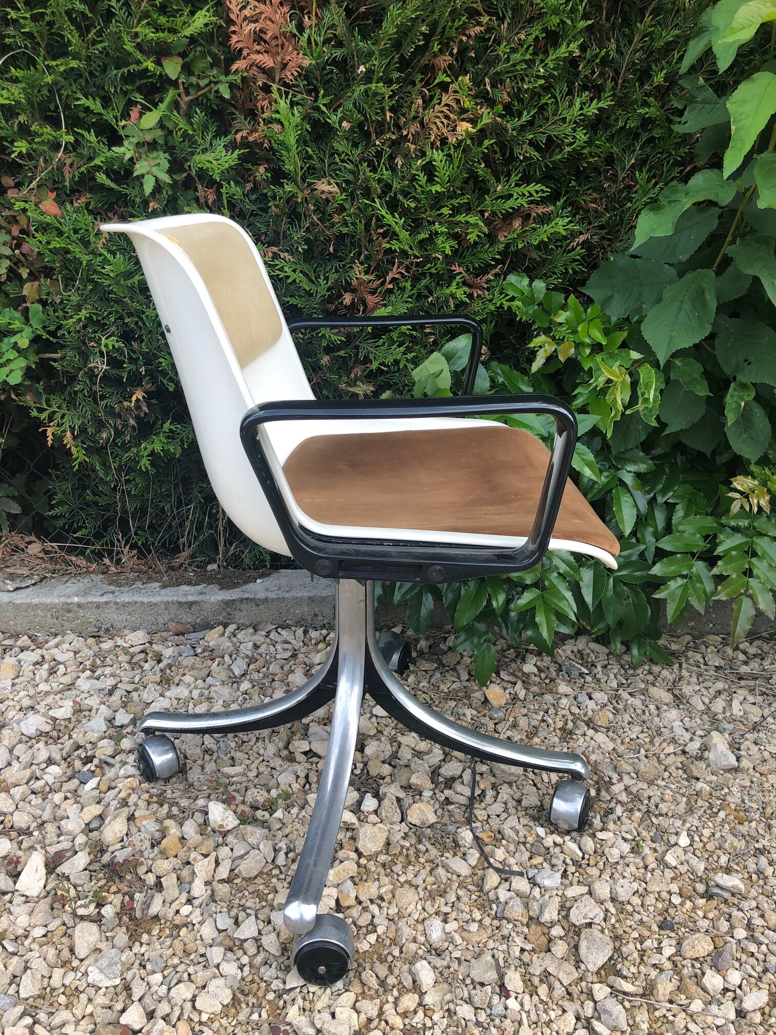 Pair of office chairs Modus Osvaldo Borsani edited by Tecno