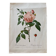Lithographie botanique PJ Redouté Rosier des Indes