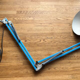 Twist style articulated lamp