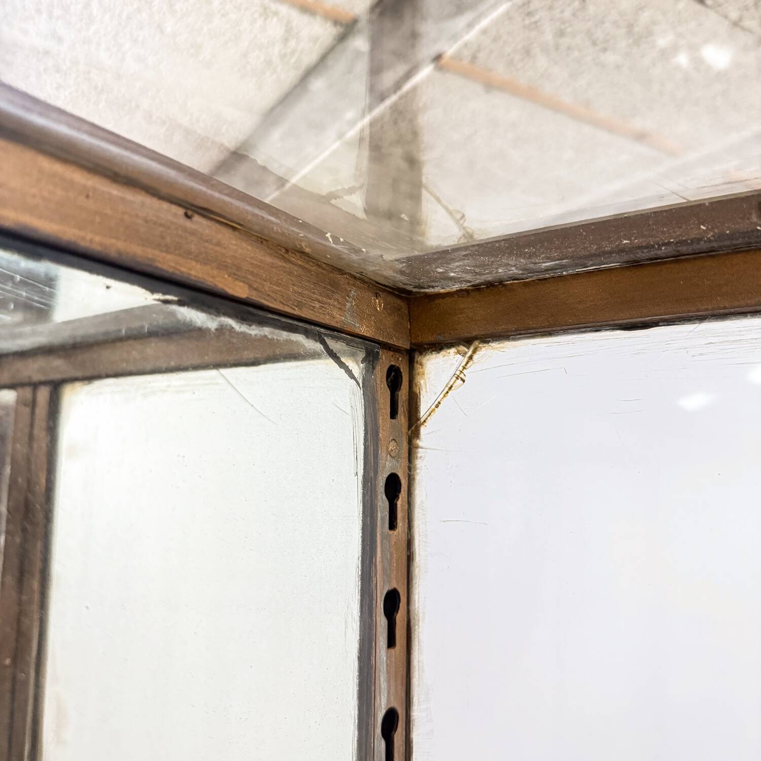 Large Antique Museum Display Cabinet with Curved Glass