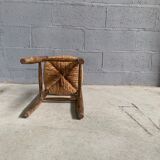 Mulched stool