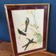 Botanical bird engraving