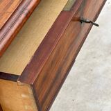 Chest