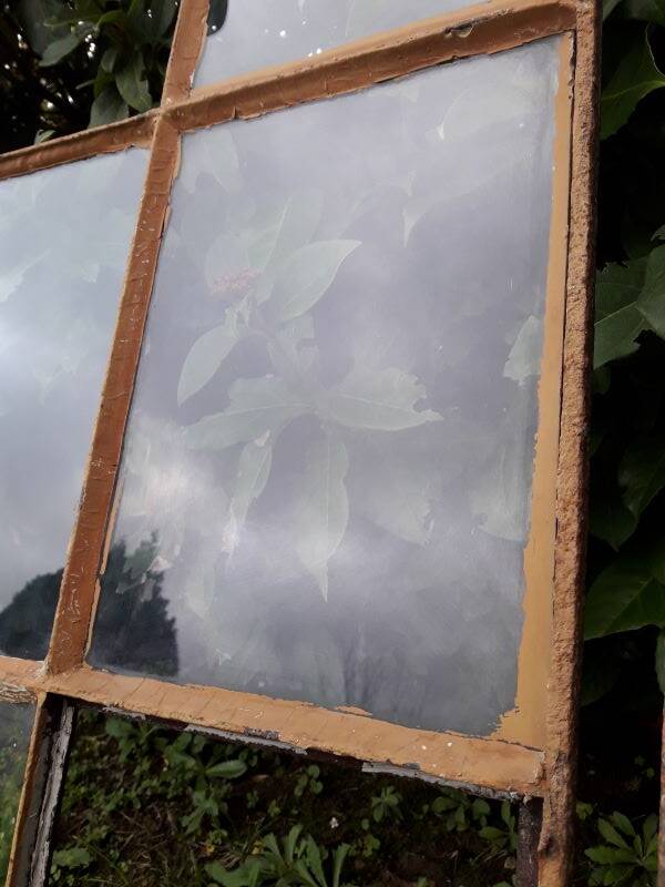 Industrial arched metal windows L73xH110 19th century glass roof