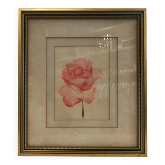 Pink watercolor