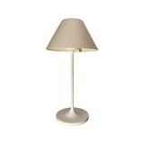 Vintage Tulip Floor Lamp Gianfranco Frattini Design, Italy | Italian Design White Colored