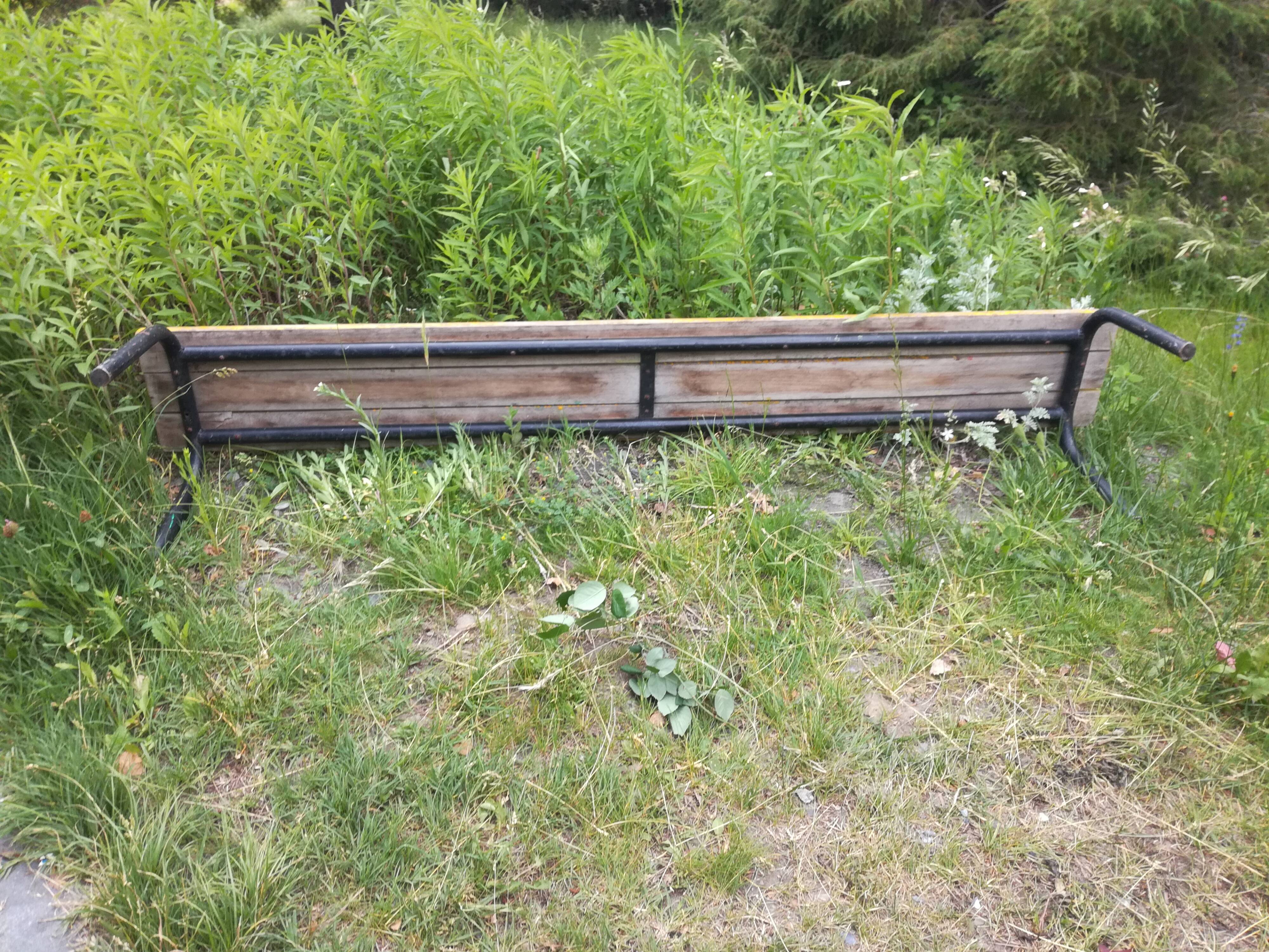 Bench of schoolchildren