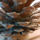 Old bronze pine cone lamp