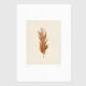 Painting on brown feather paper signed Eawy.