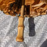 Asian vintage umbrella