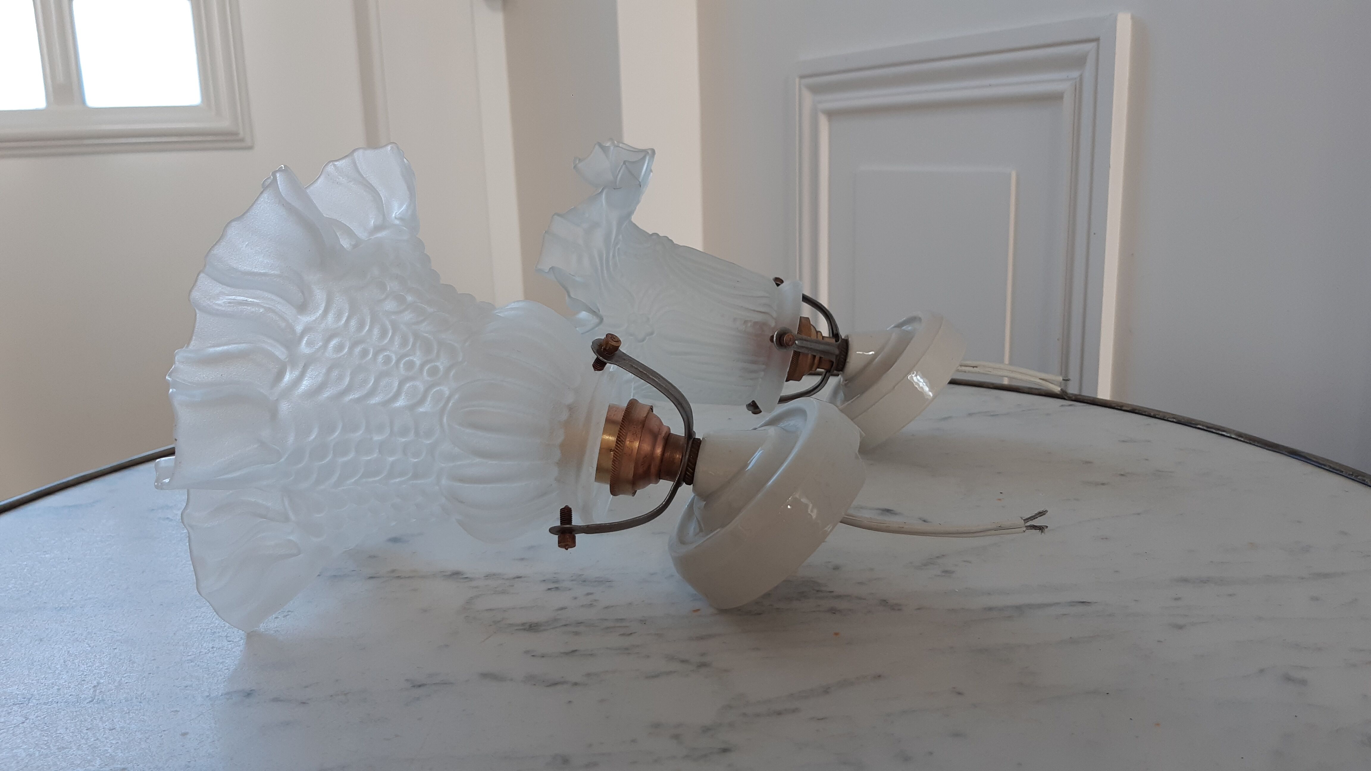 Pair of tulip sconces on inclined support 50s
