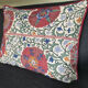 Decorative Pillow Cases Suzani motifs printed