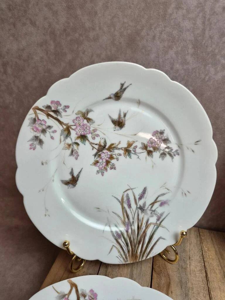 Set of 7 antique porcelain plates – Decorated with polychrome birds and flowers
