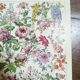 Lithograph on flowers from 1928 "rose bushes"
