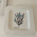 Trio of square Deruta plates signed MARI E.C., botanical decoration 962.21