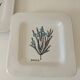 Set of three square plates from Deruta signed MARI E.C., botanical decoration 962.21