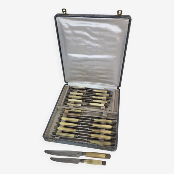 Horn handle knives 24 pieces