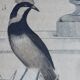 Planche Ornithologique originale " Pitpit bleu - Roitelet - Roitelet mésange - &c... " Buffon 1836