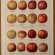 Reserve Aude - set of 3 illustrated boards 20th century