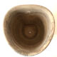 Terracotta wall pot