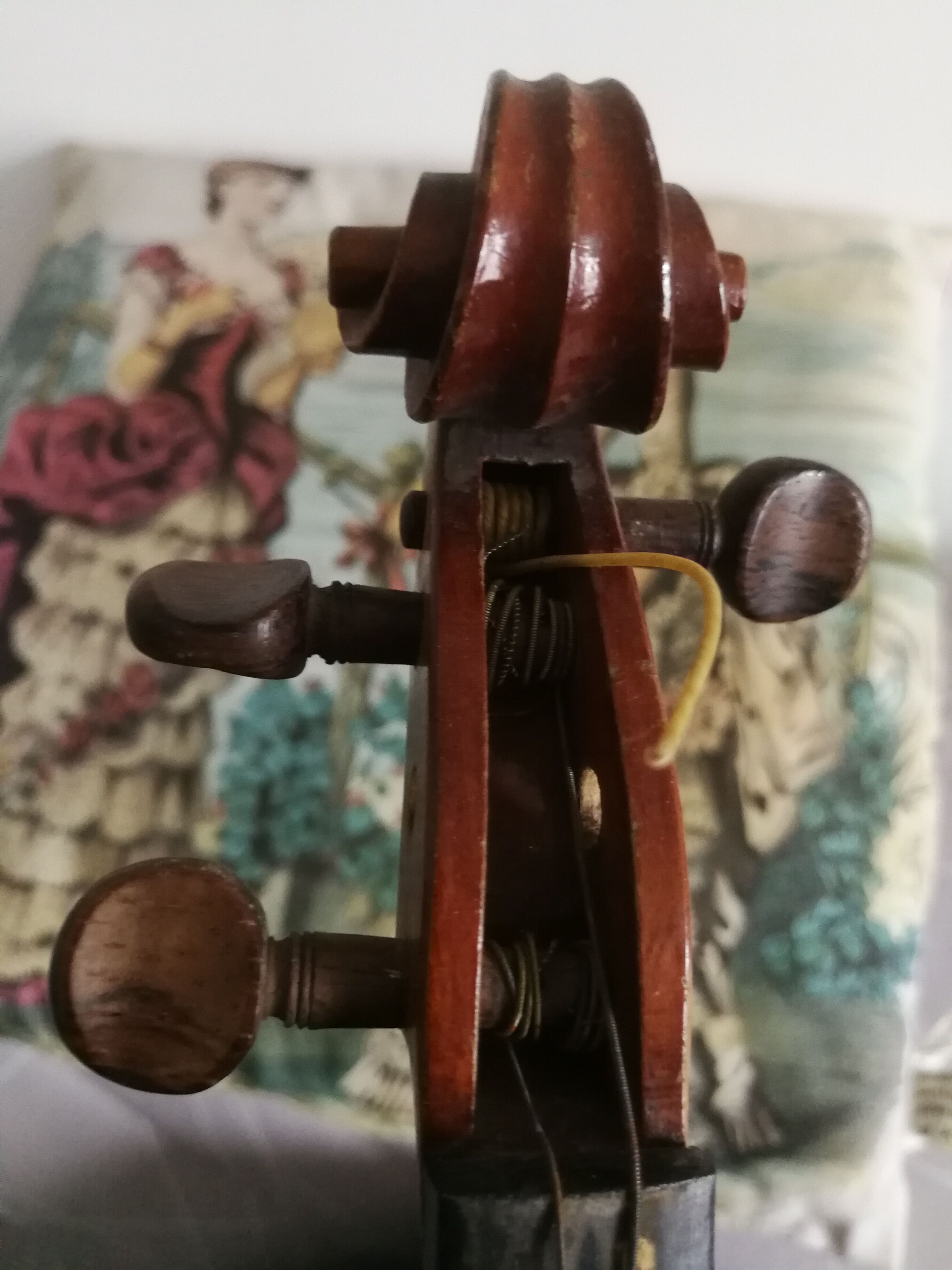 Violin'' Antonius Stradivarius' '