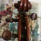 Violin'' Antonius Stradivarius' '