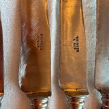 Box of 12 fine table knives from the late 19th century in horn.