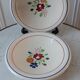 Duo of small dishes Luneville model Chantilly